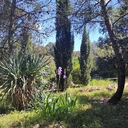 La Maison Aux Bambous *